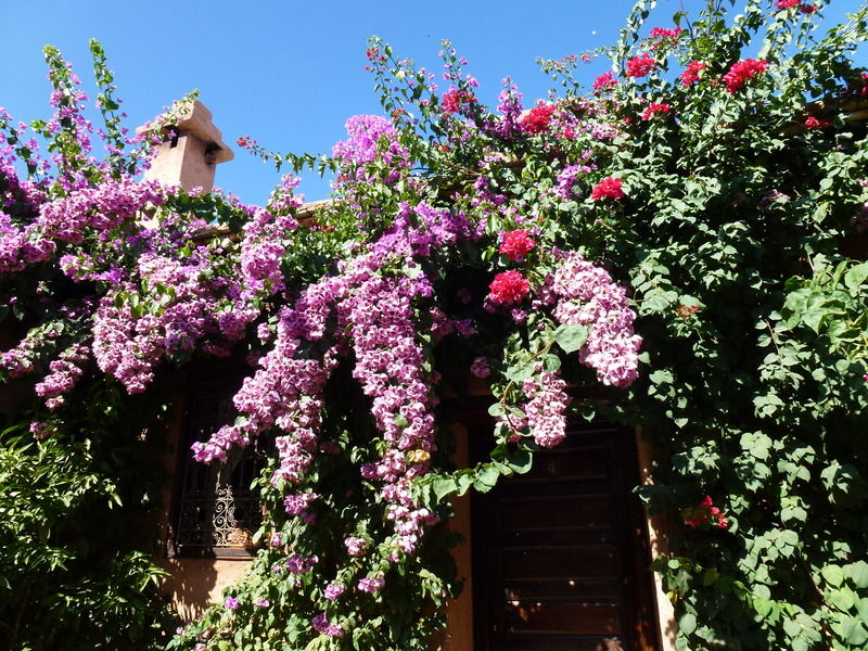 Auberge Chez Momo II Ouirgane Buitenkant foto